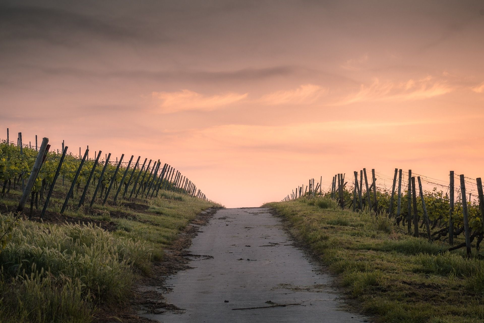 Sunsetting over a road between 2 fields